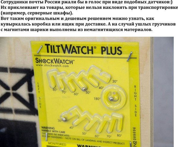 Прикольные картинки  (90 фото)