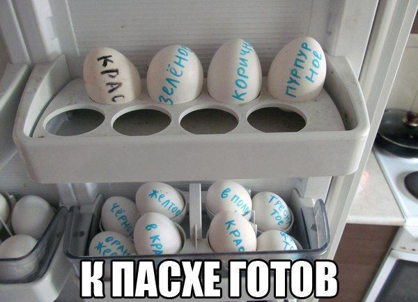 Прикольные картинки  (90 фото)