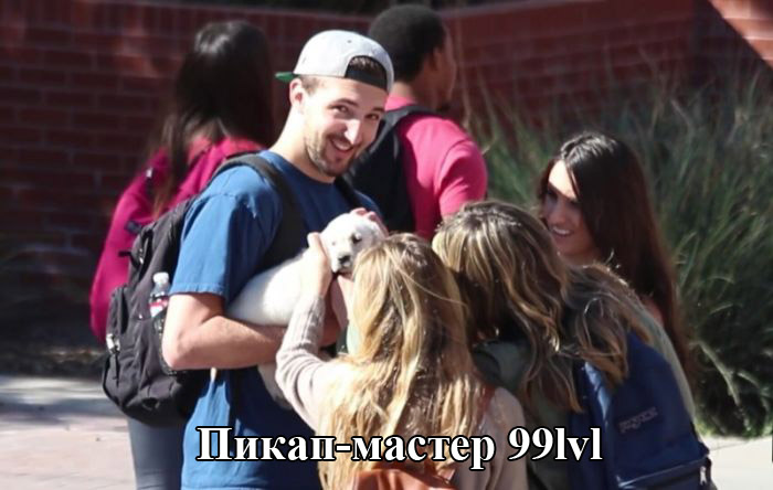 Порция картинок