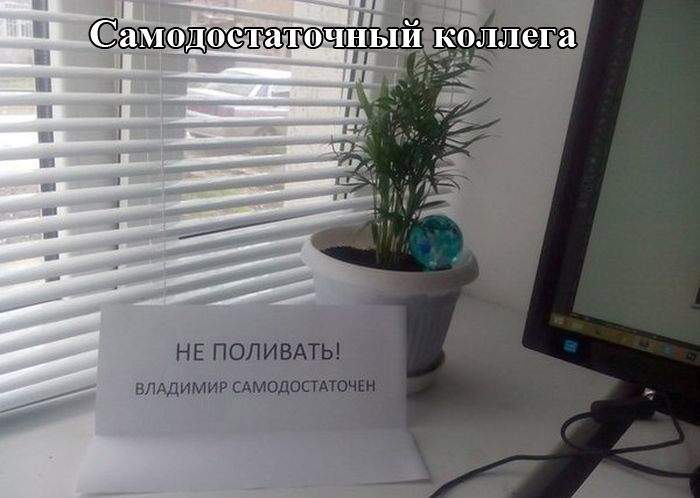 Порция картинок
