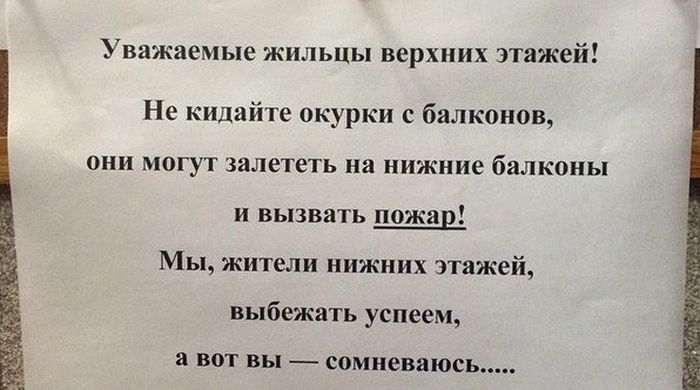 Порция картинок