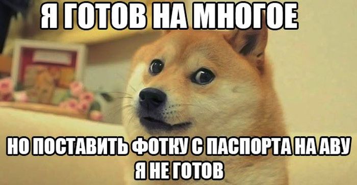 Порция картинок