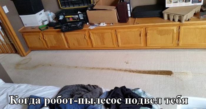 Порция картинок