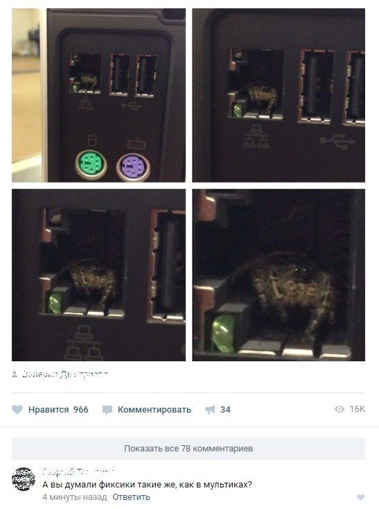 Юмор из соцсетей