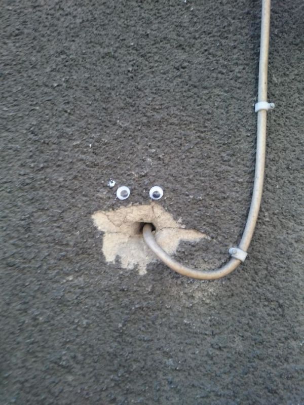 Веселые эксперименты с глазами Googly Eyes