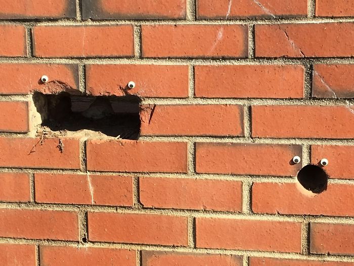 Веселые эксперименты с глазами Googly Eyes