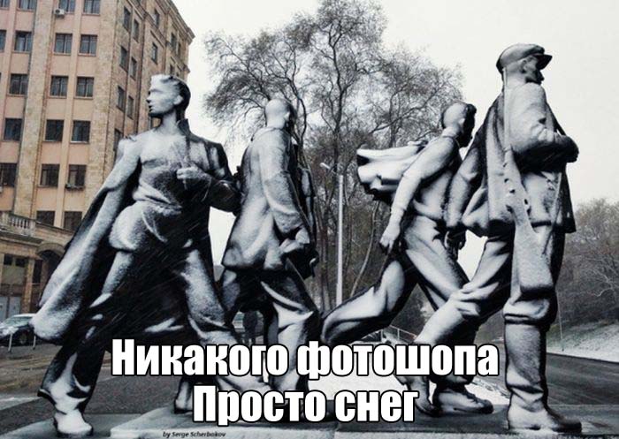 Прикольные картинки