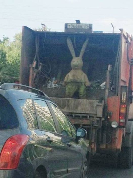 Подборка крайне странных фотографий