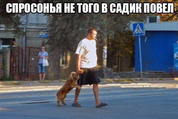 Прикольные картинки (84 фото)