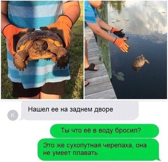 Порция картинок: 21.05.15