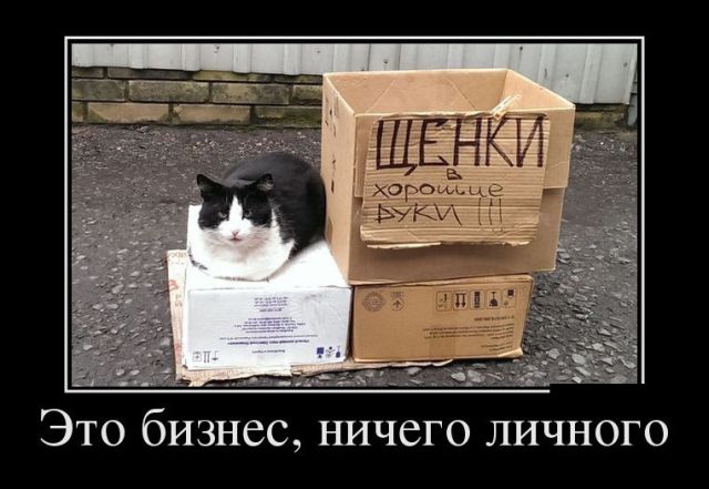 Демотиваторы