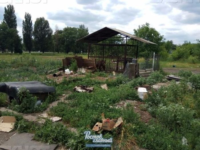 В Новошахтинске в заброшенном зоопарке голодают животные