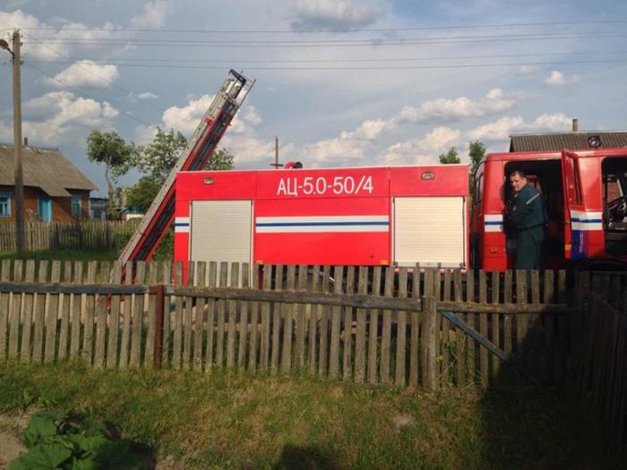 Белорусские спасатели вернули в гнездо выпавшего аиста