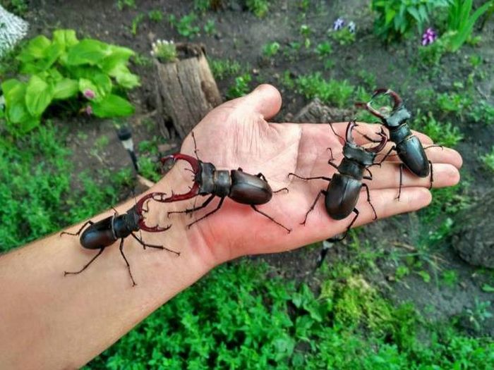 Прикольные картинки