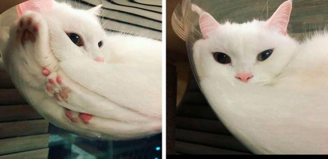 Удивительные вещи Удивительные вещи