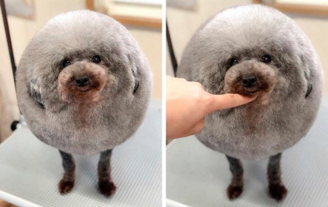 Удивительные вещи Удивительные вещи