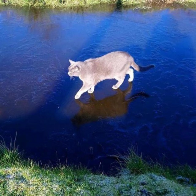 Удивительные вещи Удивительные вещи