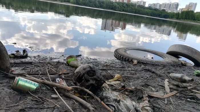 В Екатеринбурге в Городском пруде найден человеческий череп