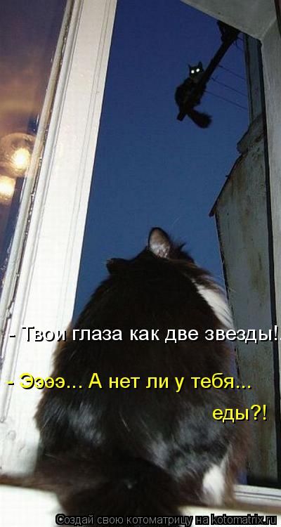 Лучшие котоматрицы недели