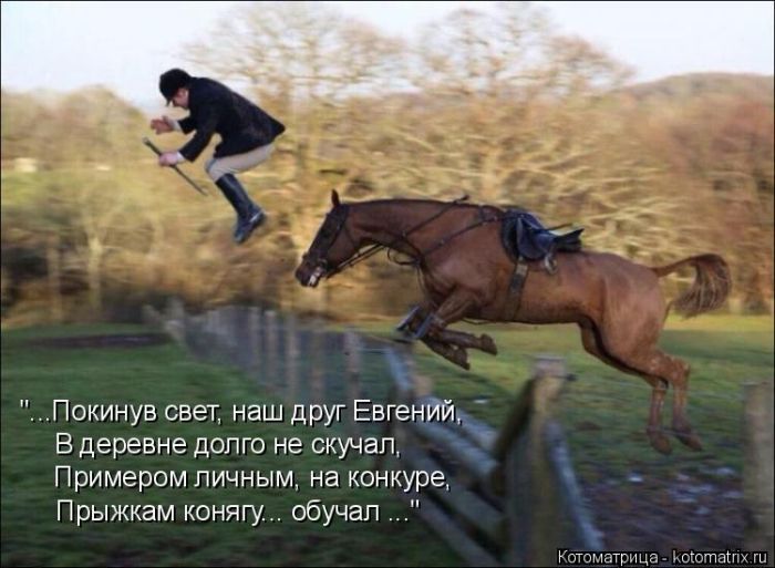 Лучшие котоматрицы недели