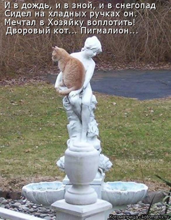 Лучшие котоматрицы недели