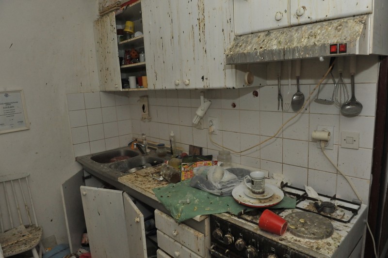 Голубятня в съемной квартире в Словении