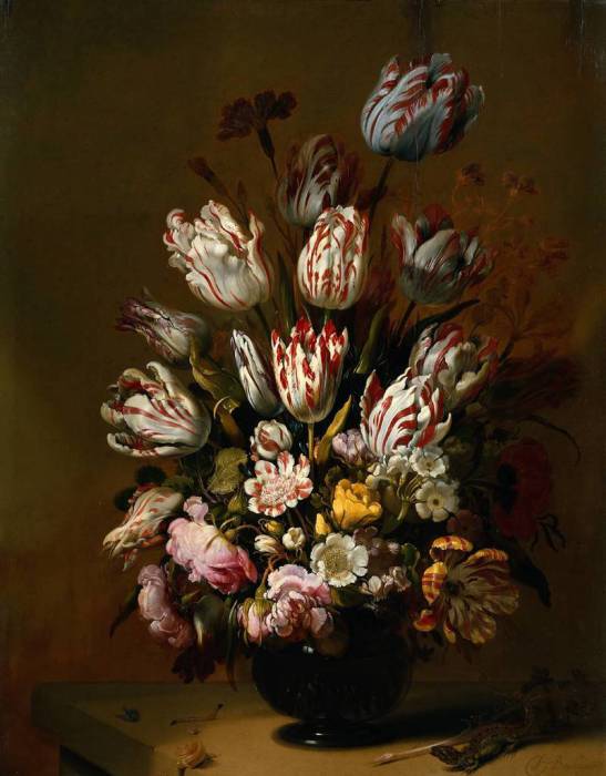 Самый красивый тюльпан в истории: цветок, который стоил как целый дом Самый красивый тюльпан в истории: цветок, который стоил как целый дом