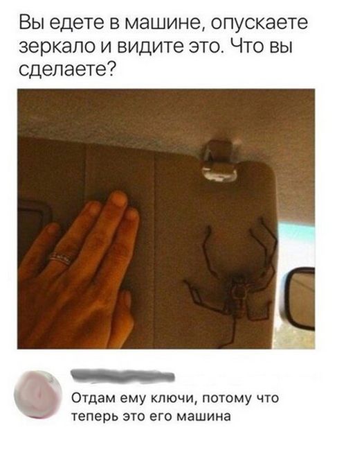 Прикольные картинки