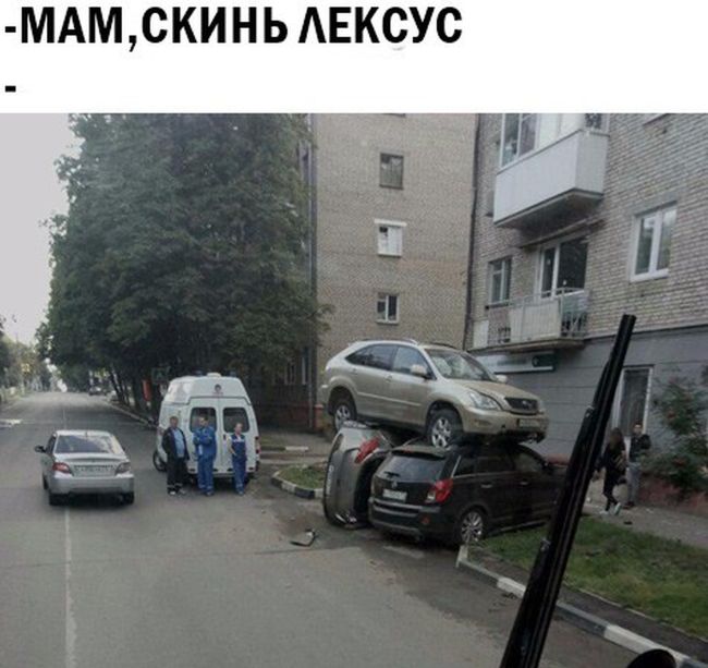 Прикольные картинки