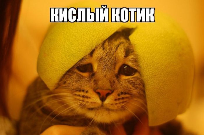 Подборка картинок с надписями