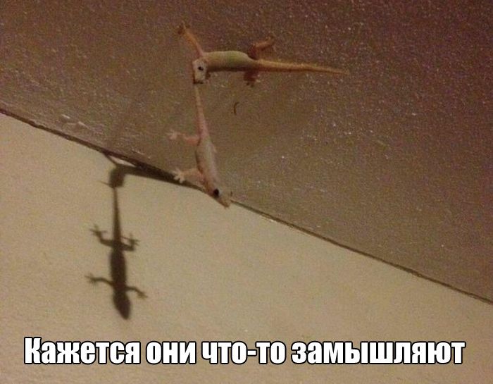 Подборка картинок с надписями