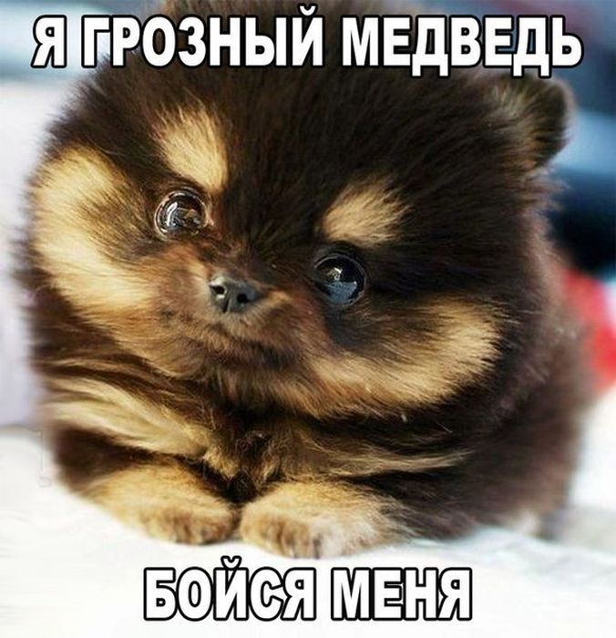 Подборка картинок с надписями