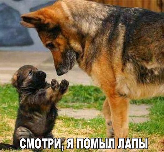Подборка картинок с надписями