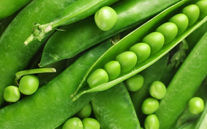 Незабываемые советские сладости Незабываемые советские сладости