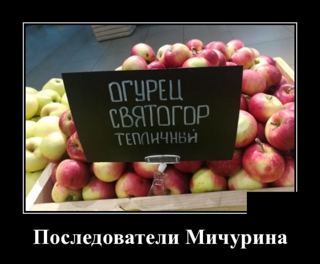Демотиваторы