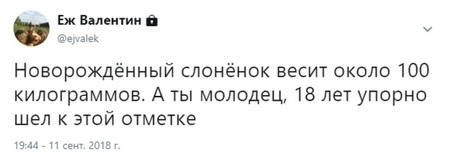 Юмор и комментарии из социальных сетей