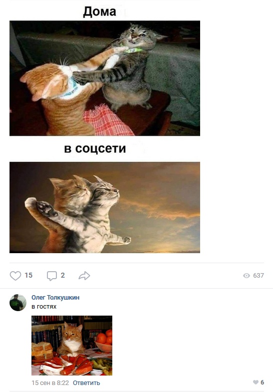 Юмор и комментарии из социальных сетей