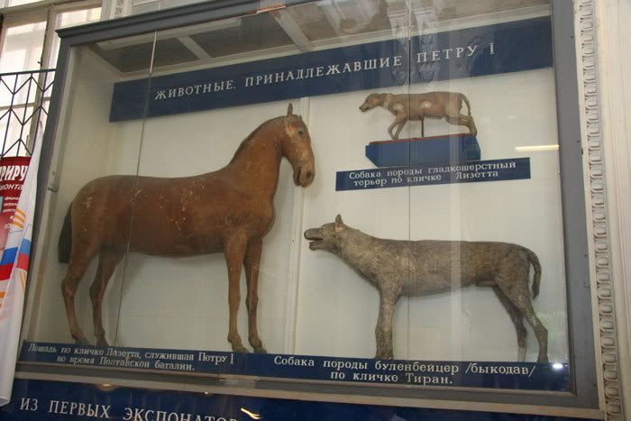 Четвероногие друзья русских монархов Четвероногие друзья русских монархов