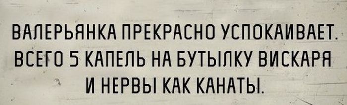 Прикольные картинки (77 фото)