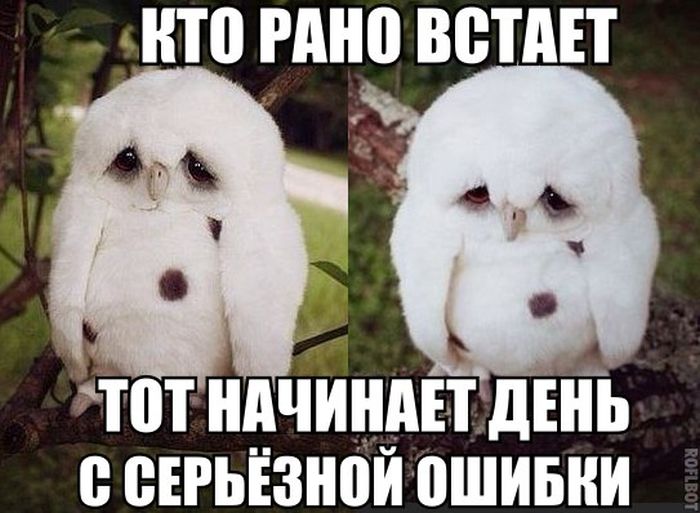 Прикольные картинки (77 фото)