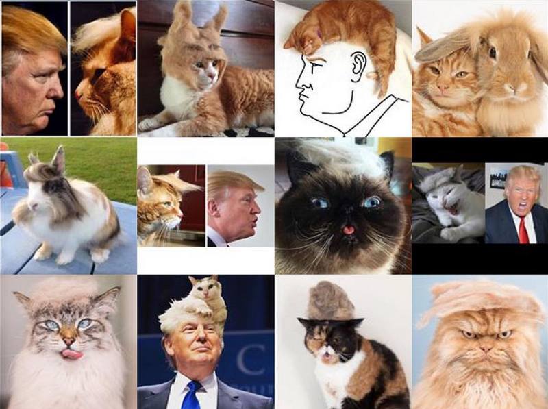 Tramp you Cat: Преврати кота в Трампа! Tramp you Cat: Преврати кота в Трампа!
