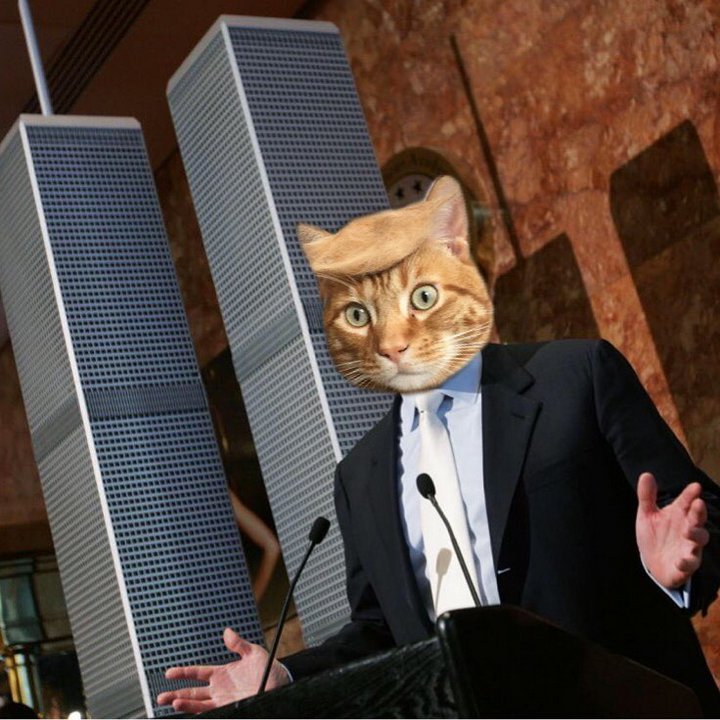 Tramp you Cat: Преврати кота в Трампа! Tramp you Cat: Преврати кота в Трампа!