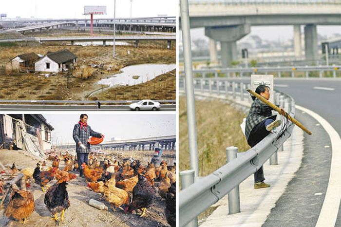 Неуступчивые хозяева домов