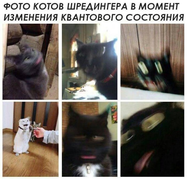 Юмор, который заставит вас задуматься