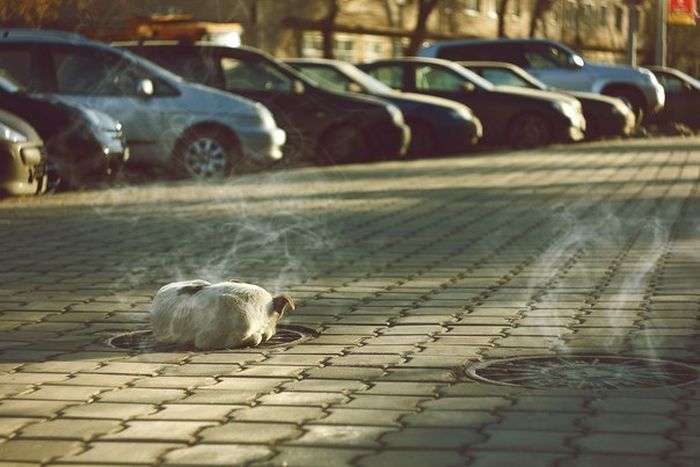 Сильные фотографии