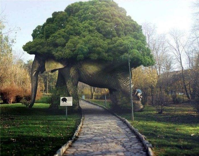Прикольные картинки
