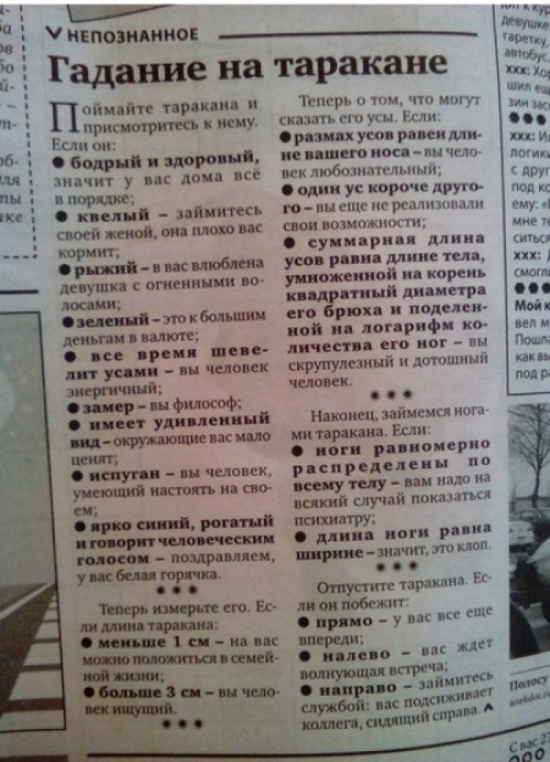 Самые запоминающие «маразмы» уходящего года Самые запоминающие «маразмы» уходящего года