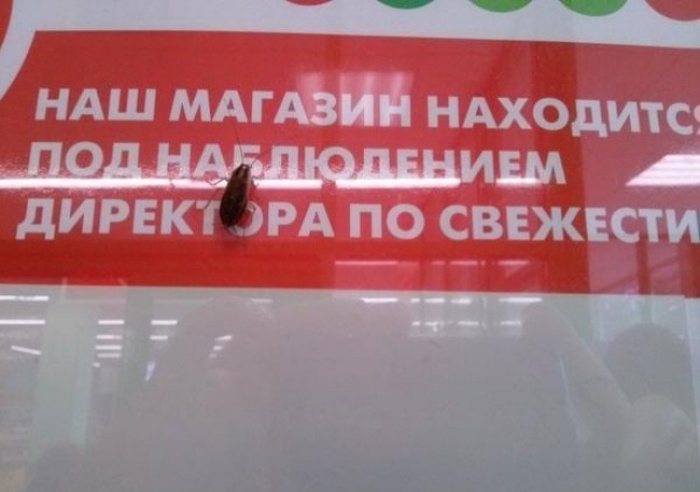 Самые запоминающие «маразмы» уходящего года Самые запоминающие «маразмы» уходящего года