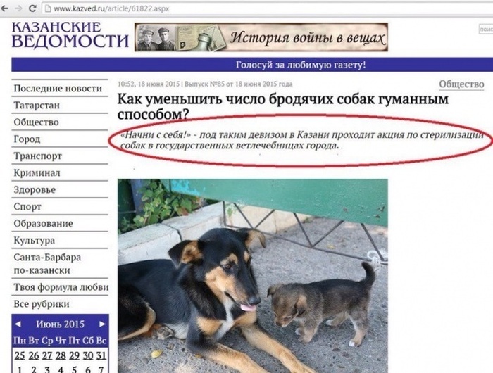 Самые запоминающие «маразмы» уходящего года Самые запоминающие «маразмы» уходящего года