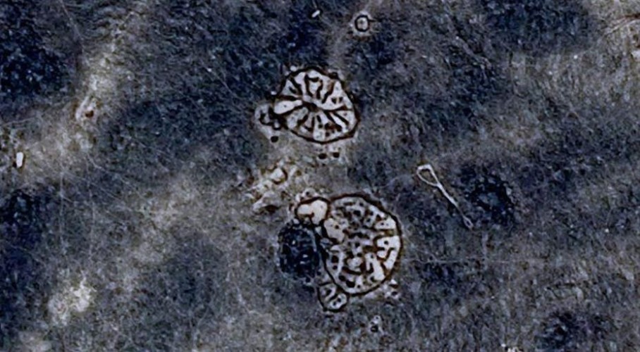 Мистика в пустыне Мистика в пустыне